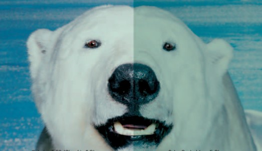 GA黄金甲·(中国区)官方网站