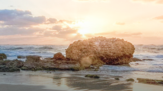 GA黄金甲·(中国区)官方网站