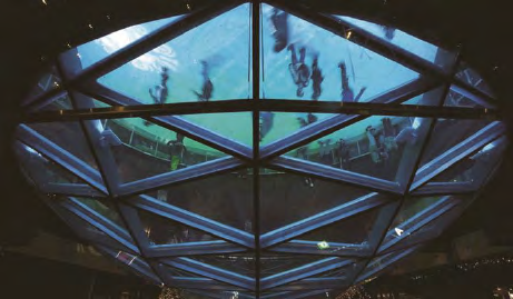 GA黄金甲·(中国区)官方网站