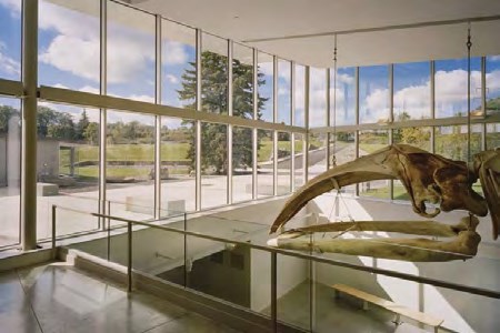 GA黄金甲·(中国区)官方网站